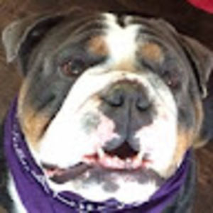 Meet your Posher, Shane